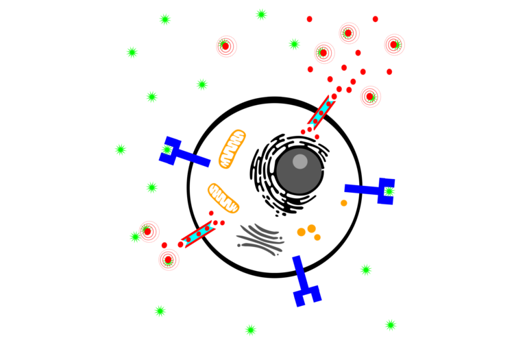 image for Building a modular cell sensing system